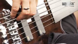 The Pro Series Streamer LX 6String Fretless  with Andy Irvine [upl. by Nhguaved]