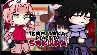 •Team HebiTaka React To Sakura Haruno•×🇧🇷🇺🇸🇪🇦🇯🇵 Complete [upl. by Amberly187]