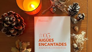 Comentari 📙Aigües encantades Joan Puig i Ferreter 1907 [upl. by Narib]