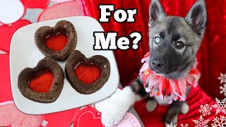 Strawberry Carob Cupcakes For Dogs 💗 Valentines DIY Dog Treats [upl. by Trevlac]