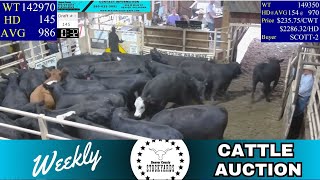 792024  Beaver County Stockyards Weekly Cattle Auction [upl. by Yorgo]