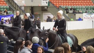 Equine Affaire Massachusetts day 1 Friesian Heritage Drillteam [upl. by Michiko281]