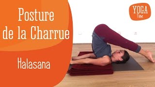 Yoga  Posture de la Charrue  Halasana [upl. by Anastos808]