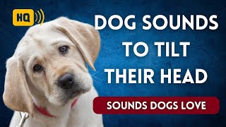 Dog Sounds to Make Them Tilt Their Head 🐕 Sounds Dogs Love [upl. by Marianna]