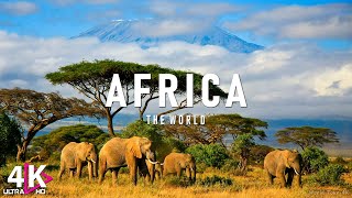 AFRICA 4K  Relaxing Music Along With Beautiful Nature Videos  4K Ultra HD [upl. by Leahcimed840]