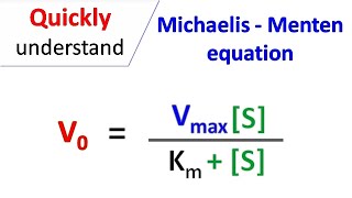 Michaelis Menten equation [upl. by Ayikin]