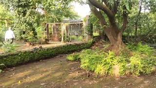 Formhouse Land for Sale in Panvel  Feel of Lonavala Karjat amp Neral  Near Indiabulls Greens [upl. by Eiramasil]