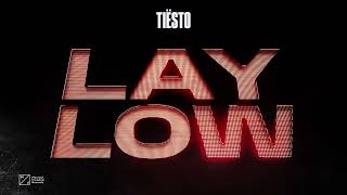 Tiësto  Lay Low Official Visualizer [upl. by Holcman]