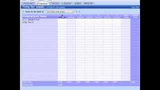 Introduction to Standard Time® Timesheet [upl. by Frayne]