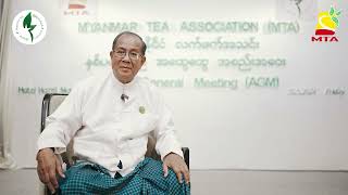 Myanmar Tea Association  General Annual Meeting 2024 Interview [upl. by Aible]