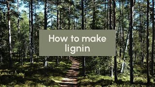 How to make lignin [upl. by Enrev]