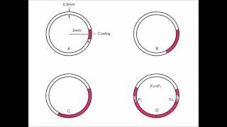 Caloric testing mechanism of caloric nystagmus [upl. by Creighton]