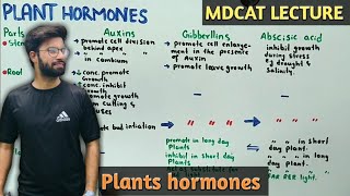 Plant hormones And Its Types  NMDCAT 2021 [upl. by Eesac]