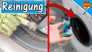 Genialer Trick Waschmaschine reinigen mit Hausmitteln  mit Flusensieb Türdichtung amp Schublade [upl. by Haymo20]