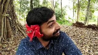 Manichithrathazhu Comedy  മണിച്ചിത്രതാഴ്  Kuthiravattam Pappu Malayalam Video [upl. by Nimra]