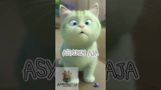 kucing gemesin asyikin aja [upl. by Amyas]