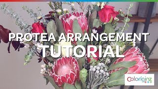 Coloríginz  Protea arrangement  tutorial [upl. by Zarah]