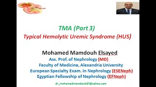 Typical Hemolytic Uremic Syndrome HUS [upl. by Eedak246]