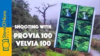 Film Photography  Comparing Provia and Velvia 100 on a Landscape Shoot [upl. by Loginov127]