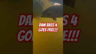 DAM Bass Goes Free 4 [upl. by Marcoux]