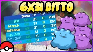 HOW TO GET 6X31 DITTO IN POKÉMON BRICK BRONZE ALL COPIES [upl. by Eidac]