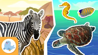 TERRESTRIAL AND AQUATIC HABITATS for Kids🌲💧 Deserts Jungles Rivers Oceans and More 🌄🌊 Compilation [upl. by Assilev431]