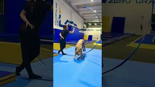 Ginnastica RITMICA e ARTISTICA insieme 👏🔥💯 [upl. by Siravat]