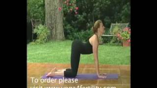 Yoga 4 Fertility with Brenda Strong [upl. by Shari55]