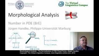 MOR106  Morphological Analysis PDE [upl. by Ednyl]