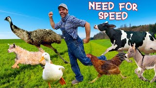 Whos the Fastest Animal on the Farm Educational Farm Video For Kids [upl. by Nymassej]