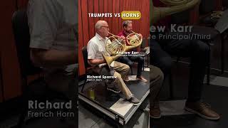 Trumpets VS Horns [upl. by Sosthina]