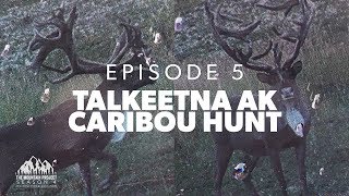 A GIANT CARIBOU  Ep 5  Caribou Hunting in Alaska [upl. by Elletse]