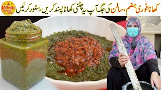 Special Chatkhara Chutney Recipe  Chutney Banane Ka Tarika  Tamatar Chutney  Village Handi Roti [upl. by Akimyt]