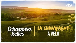 La Champagne à vélo  Échappées belles [upl. by Atnahs]