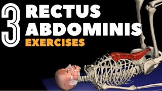 Target Your Rectus Abdominis with 3 Ab Exercises [upl. by Ardied906]