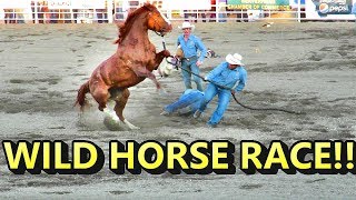 WILD HORSE RACE CRAZY [upl. by Rab]