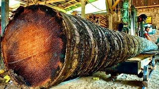 This is the longest form of coconut wood and is as hard as iron [upl. by Ettenav68]