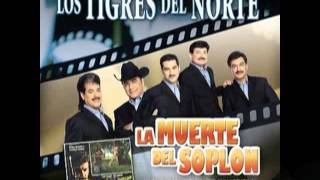 Muerte AnunciadaLos Tigres del Norte Album La Muerte del SoplonAño 2006 [upl. by Orlosky158]