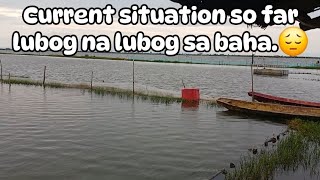 ALTERNATE na PILAPIL sa PALAISDAAN TUWING TAGULAN at BAHA likeandsubscribe [upl. by Atinauq]