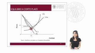 Competencia monopolística   UPV [upl. by Nnylrefinnej]