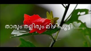 Malayalam Melody Songs Tharum Thalirum [upl. by Layor]