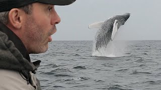 JE PÊCHE UN MASTODONTE DES MERS   Cyril Chauquet [upl. by Elliott]