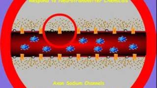 11 Pyrethroid Action [upl. by Doherty]