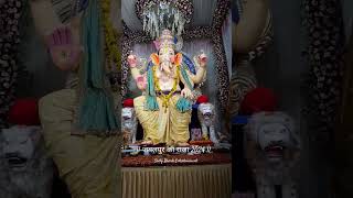 Jabalpur ka raja ganpati ganeshchaturthi ganesh bappamajha jabalpur jabalpurvloger trending [upl. by Aicillyhp366]