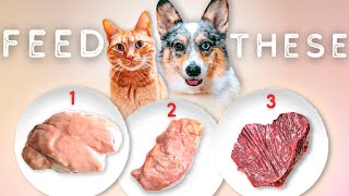 The BEST Organ Meat For Your Raw Fed Pet [upl. by Rehpotsihc]