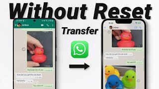 Transfer WhatsApp from Android to iPhone Without Reset In 10 Minutes  No Data Loss [upl. by Trella]