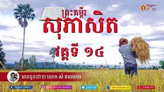 ព្រះគម្ពីរសុភាសិត វគ្គទី ១៤ Proverbs section 14 [upl. by Eugenle]