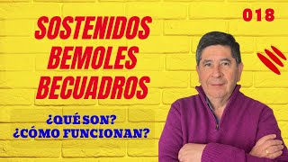 018 SOSTENIDOS BEMOLES Y BECUADROS ¿QUÉ SON ¿CÓMO FUNCIONAN ¿QUÉ LEYES LOS RIGEN [upl. by Moraj761]