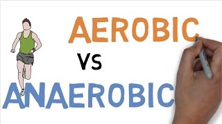 AEROBIC vs ANAEROBIC DIFFERENCE [upl. by Surtimed]