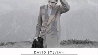 David Sylvian  Wheres Your Gravity [upl. by Rustie]